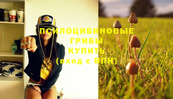 не бодяженный Магадан