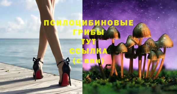 бошки Магас
