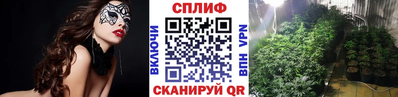 Шишки марихуана марихуана  Купить  Алупка 